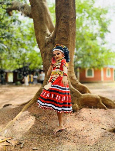 Thrissur Sahodaya Kalotsav (4)